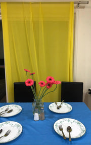 Chiffon Backdrop 58'' X 120''