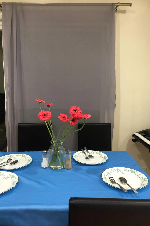 Chiffon Backdrop 58'' X 120''