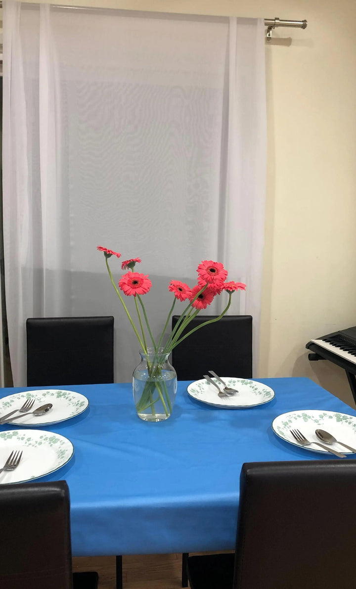 Chiffon Backdrop 58'' X 120'' ( 2 panels )
