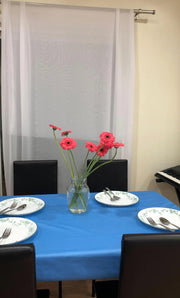 Chiffon Backdrop 58'' X 120''