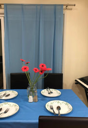 Chiffon Backdrop 58'' X 120''