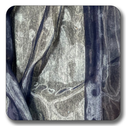Sheer Organza Fabric - Sold by the Yard