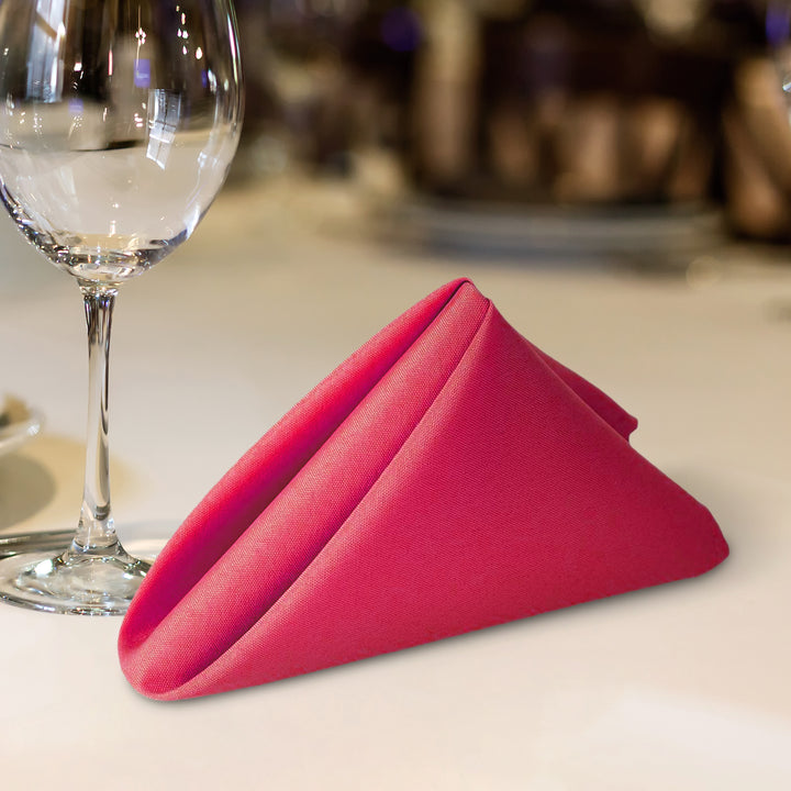 Polyester Napkins - 25 Pieces