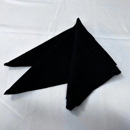 Polyester Napkins - 25 Pieces