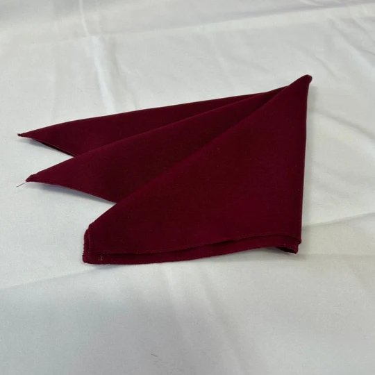 Polyester Napkins - 25 Pieces