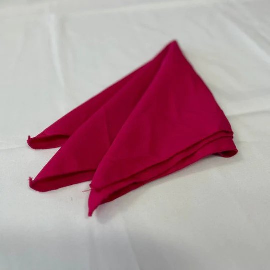 Polyester Napkins - 25 Pieces