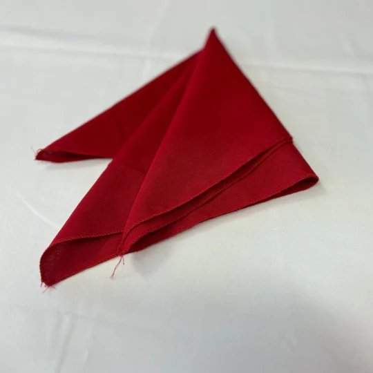 Polyester Napkins - 25 Pieces