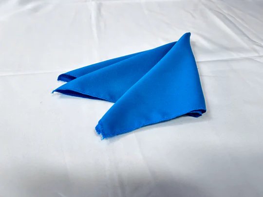 Polyester Napkins - 25 Pieces